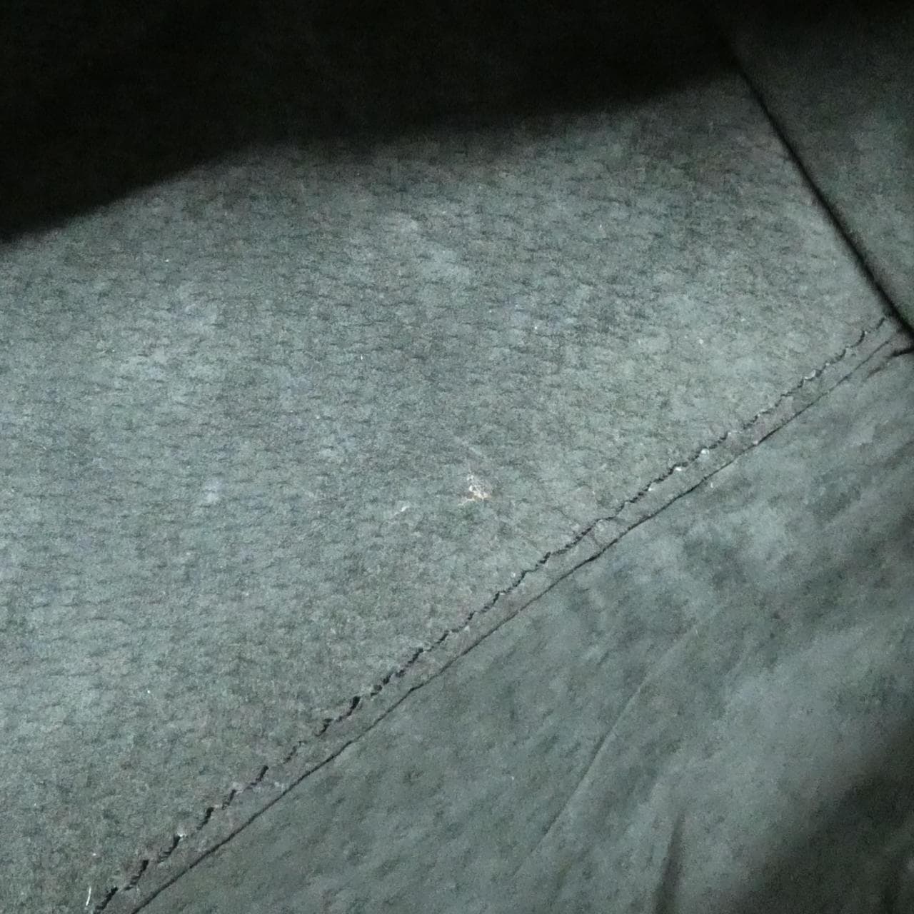 【ヴィンテージ】ロエベ アマソナ バッグ