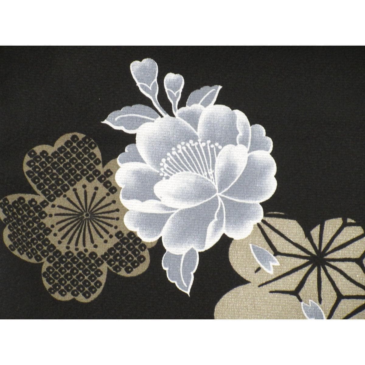 【新品】單層小門