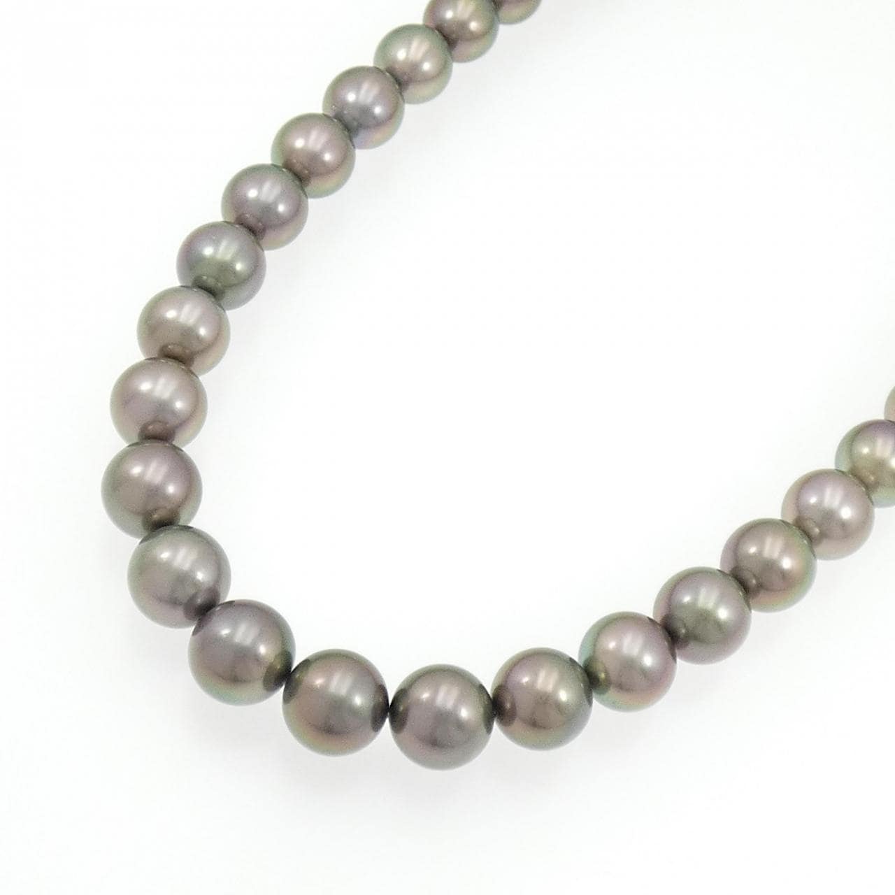 シルバークラスプ 黒蝶パール ネックレス 10-12mm