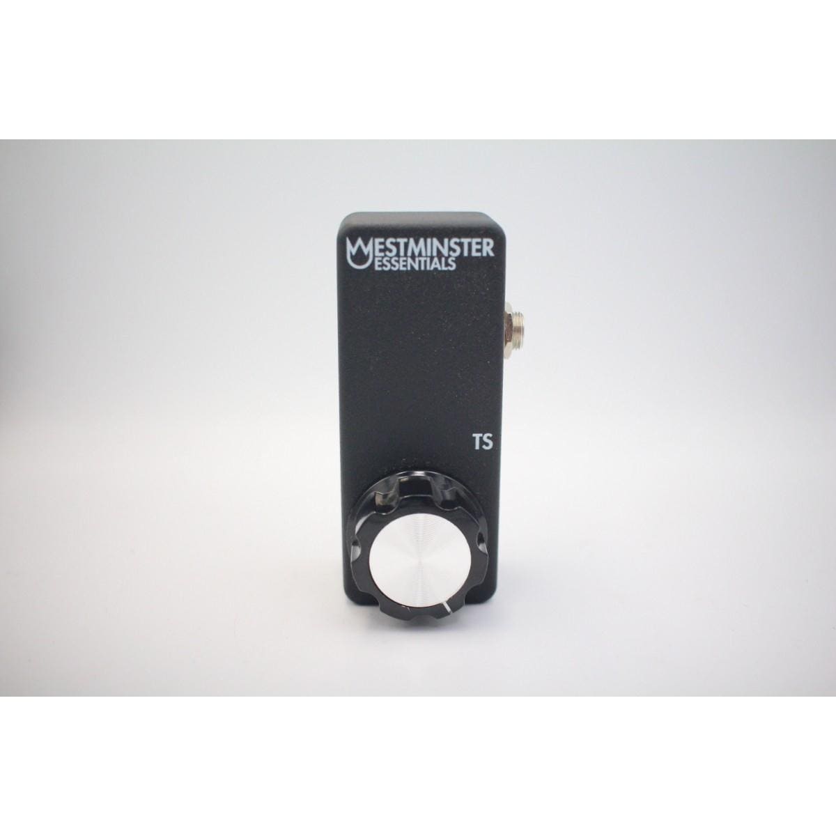 ＷＥＳＴＭＩＮＳＴＥＲ　ＥＦＦＥＣＴＳ　ＭＩＣＲＯ　ＥＸＰＲＥＳＳＩＯＮ（ＴＳ）