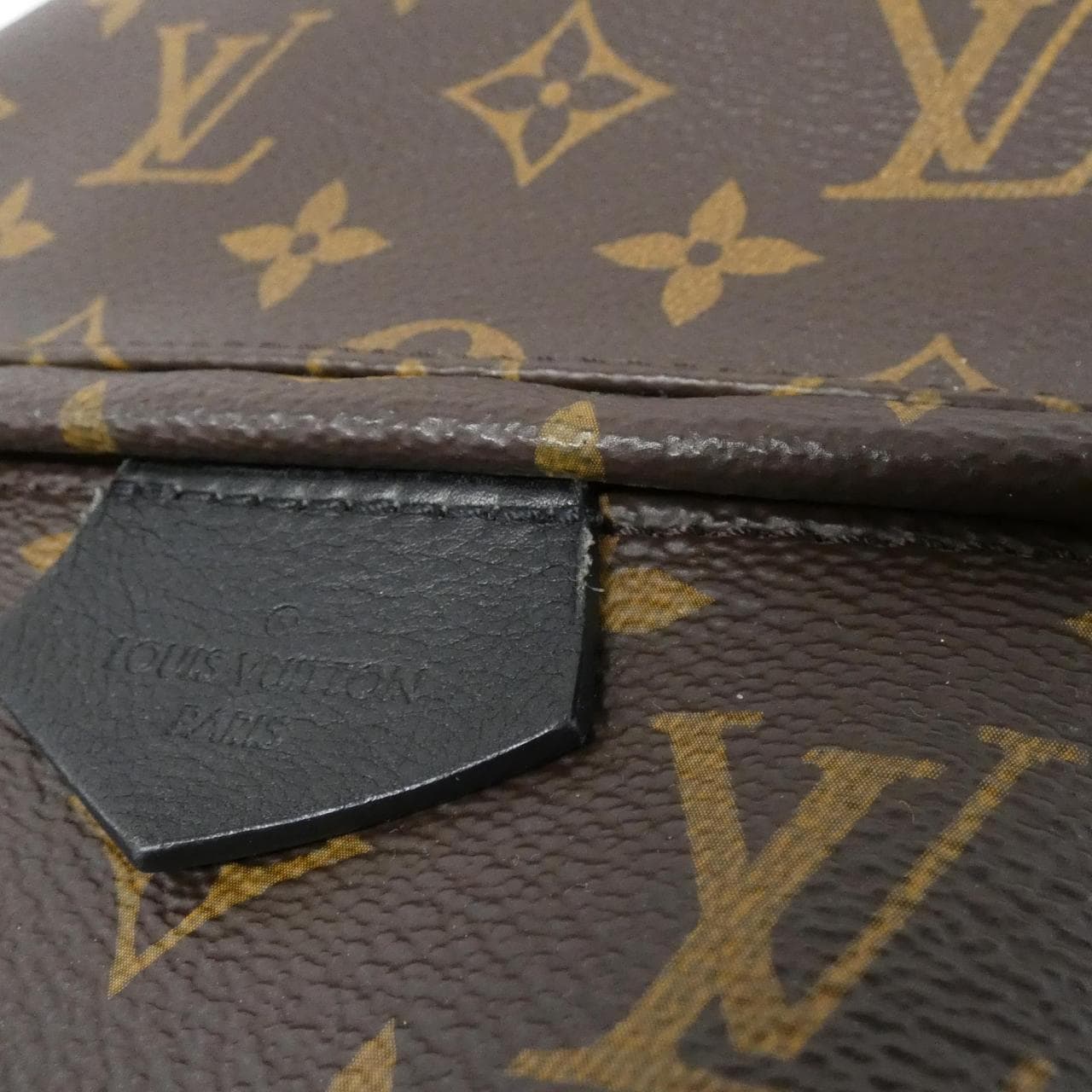 LOUIS VUITTON Monogram Palm Springs Backpack MM M44874 Rucksack