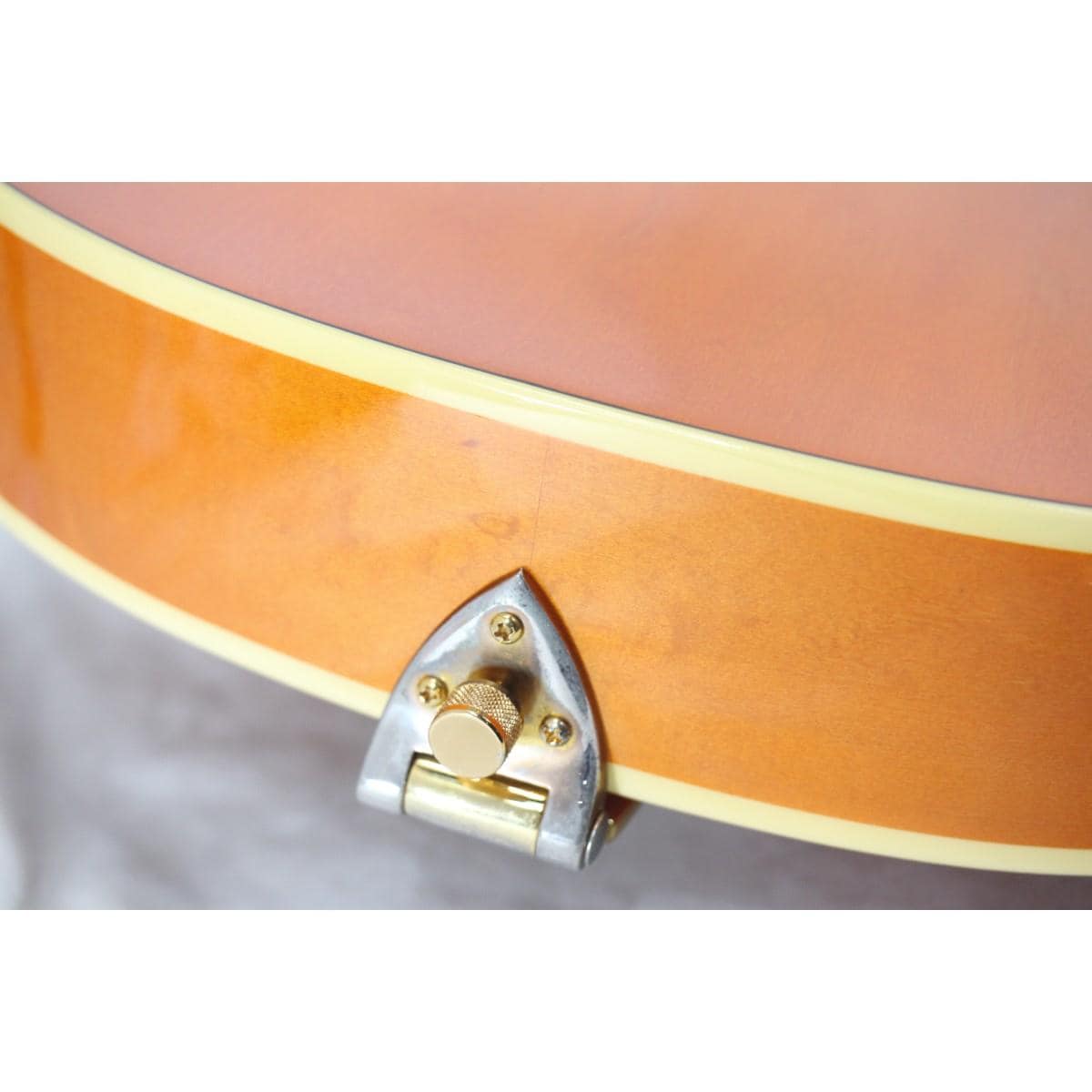 GRETSCH G6120EC