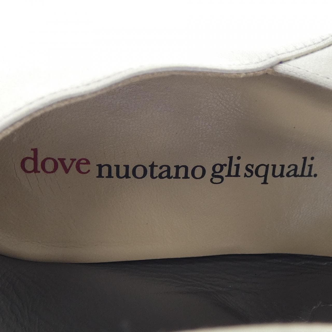 dove nuotano gli squ シューズ