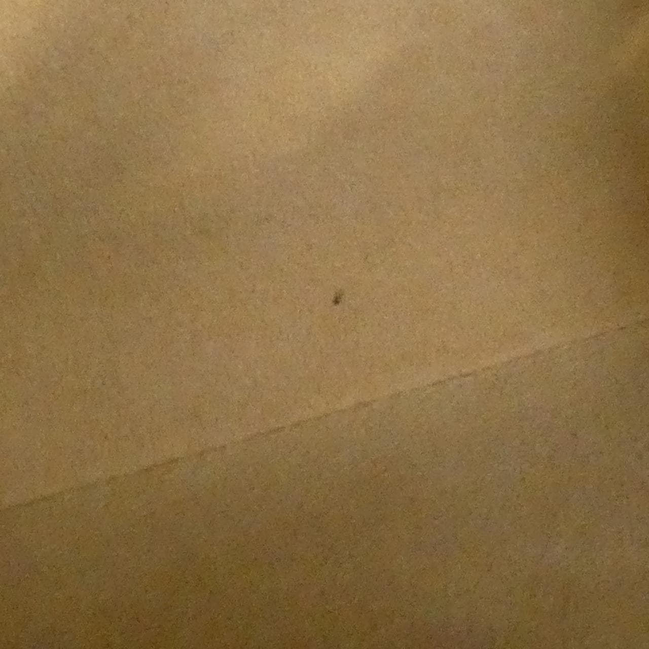 ルイヴィトン モノグラム ルーピング GM M51145 ショルダーバッグ