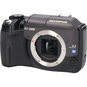 Ｅ－３００