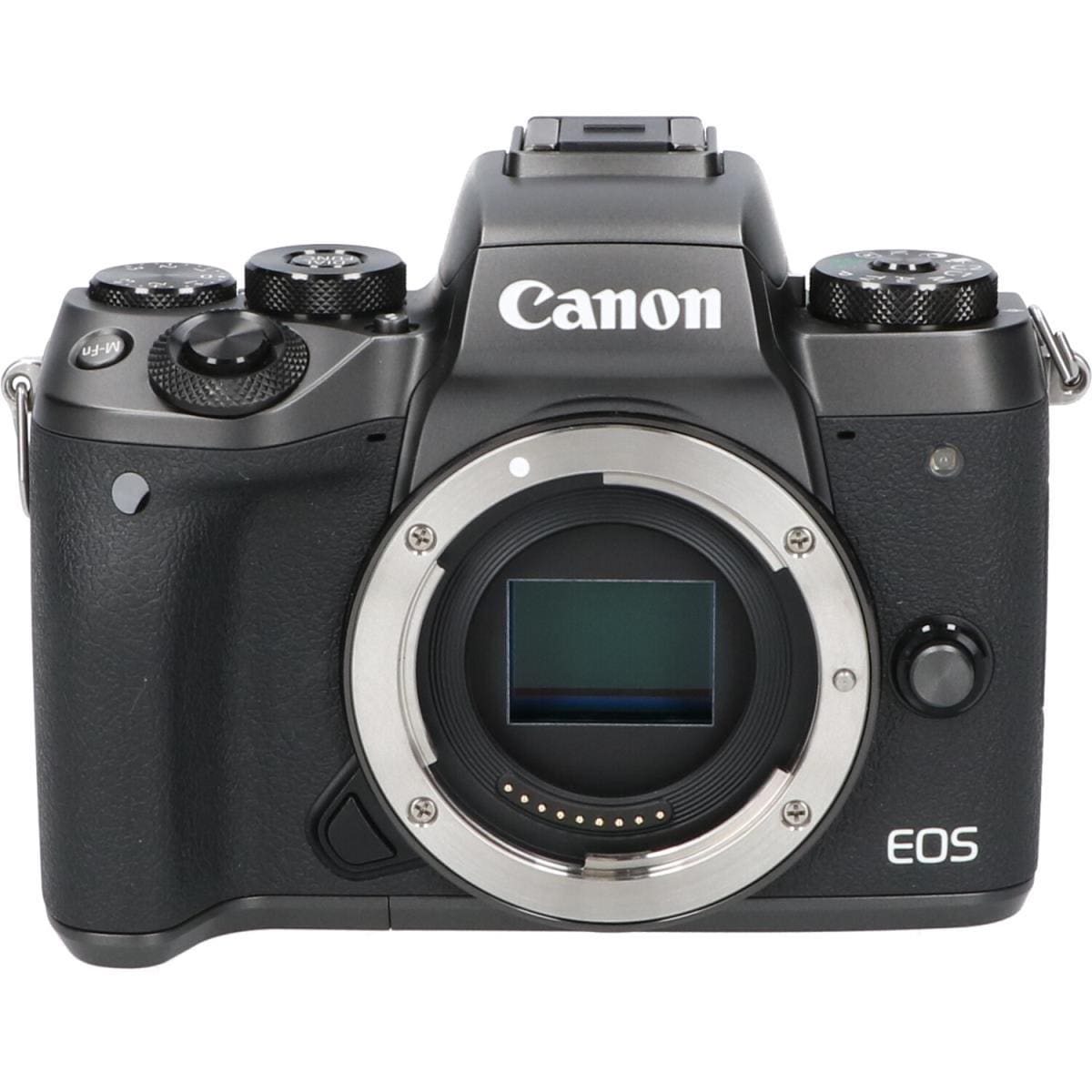 ＣＡＮＯＮ　ＥＯＳ　Ｍ５