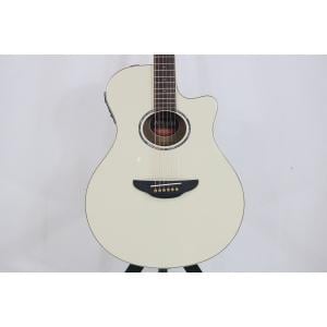 ＹＡＭＡＨＡ　　ＡＰＸ６００