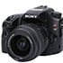 SONY